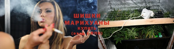 бутират Белокуриха