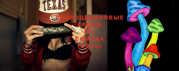 бутират Белокуриха