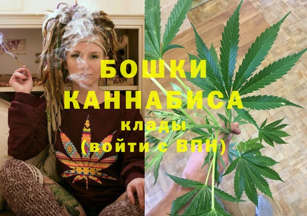 бутират Белокуриха