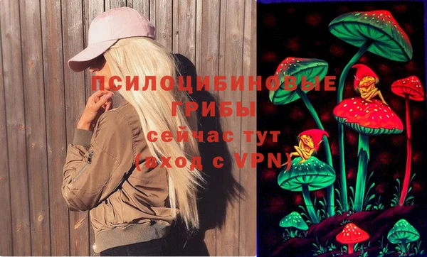 бутират Белокуриха