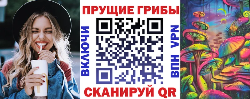 ссылка на мегу сайт  Дальнегорск  Галлюциногенные грибы Psilocybine cubensis  где можно купить наркотик 