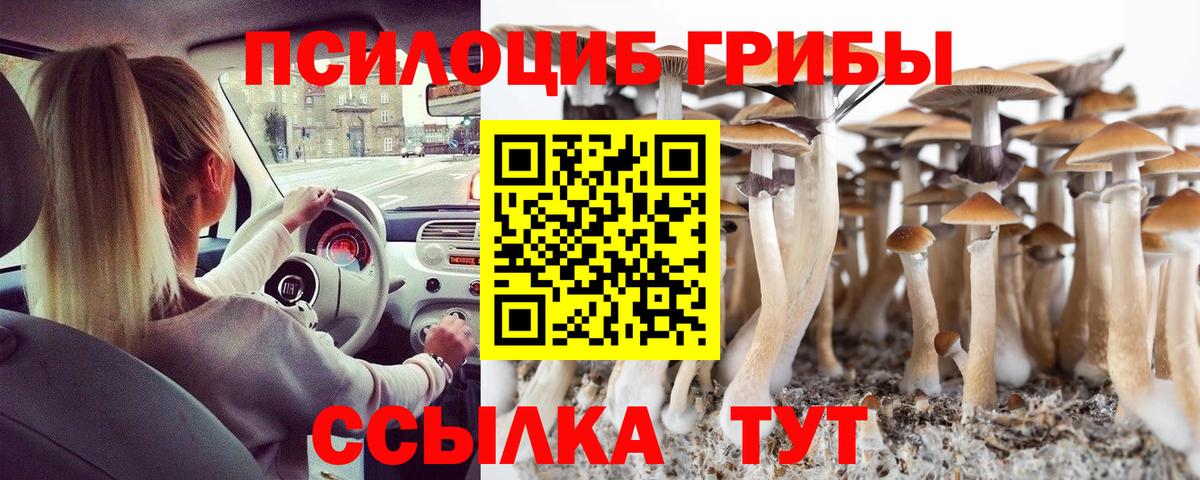 Галлюциногенные грибы Cubensis Дальнегорск