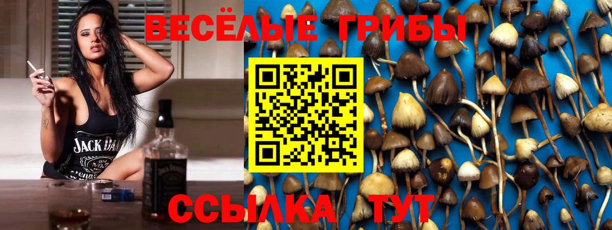 где купить наркоту  Галлюциногенные грибы ЛСД  Дальнегорск  Вход с VPN  Псилоцибиновые грибы Psilocybine cubensis 