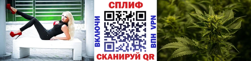 где можно купить наркотик  Дальнегорск  Каннабис VHQ 